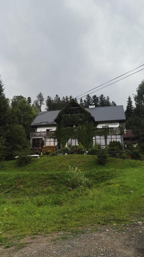 Willa Pod Dobrym Humorem Międzygórze Exterior foto